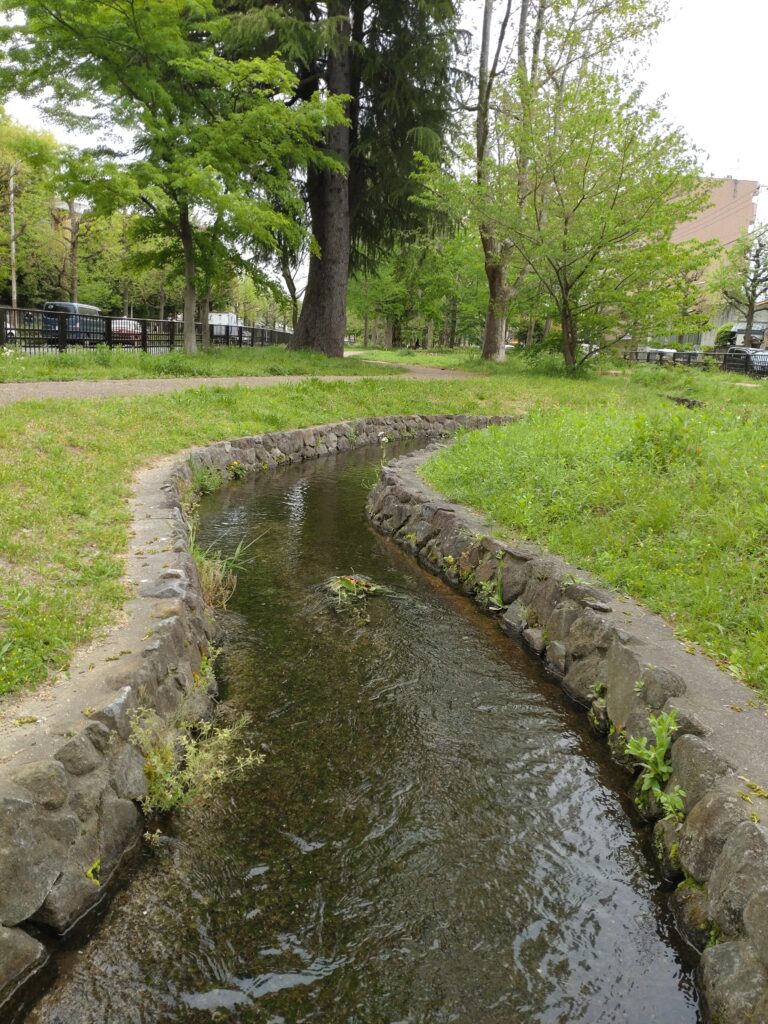 紫明せせらぎ第六公園その２