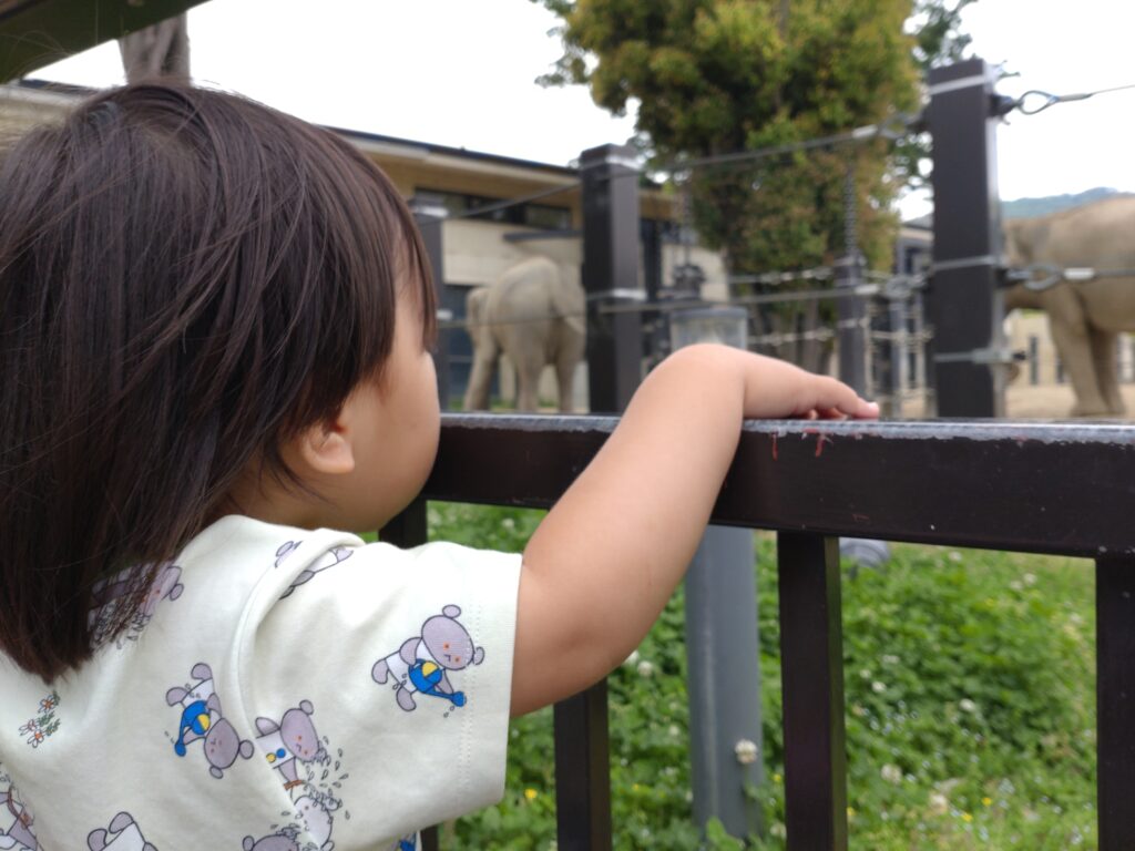 子供が象を見ている