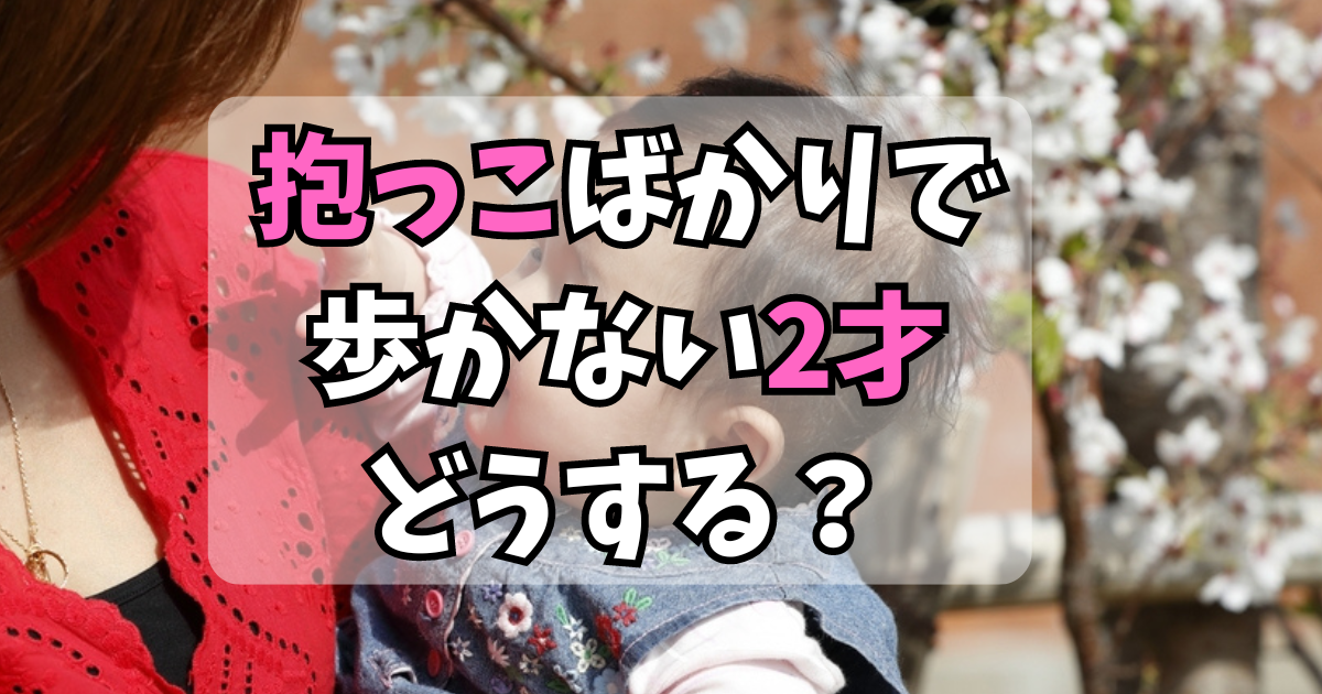 抱っこばかりで歩かない2才どうする？