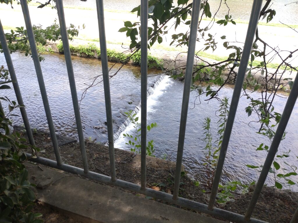 鴨川　先斗町