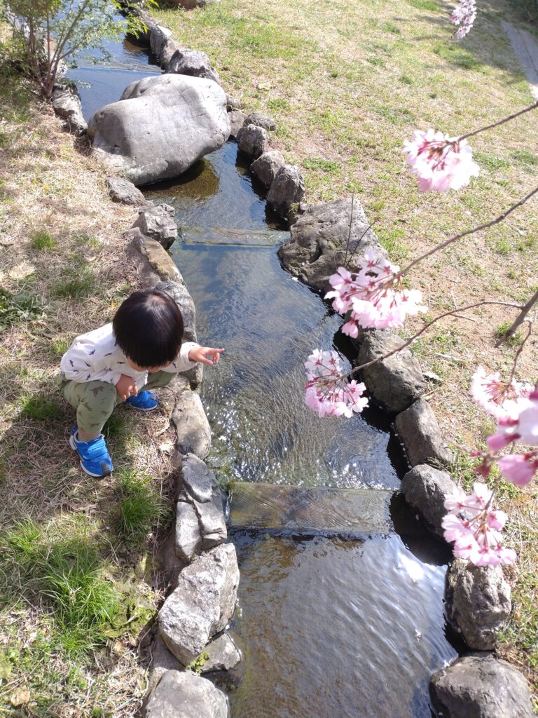 桜井公園