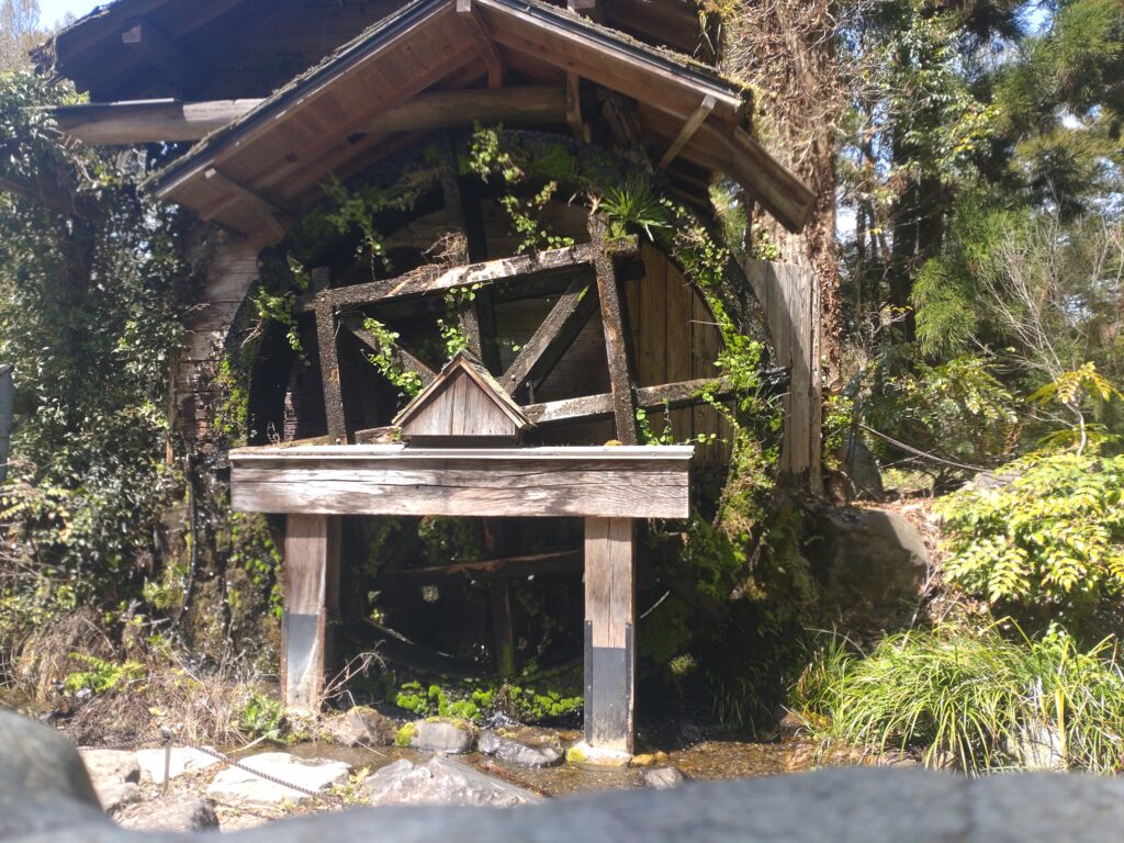 植物園水車